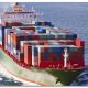 sea freight online checking